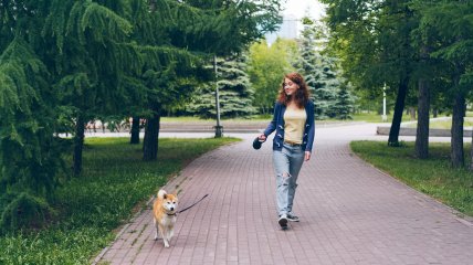 Безответственные владельцы животных могут предстать перед судом