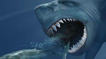 Установлена новая причина вымирания гигантских акул-убийц