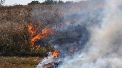 Масштабное возгорание травы произошло на Полтавщине