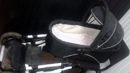 На Харьковщине кошка в коляске убила младенца