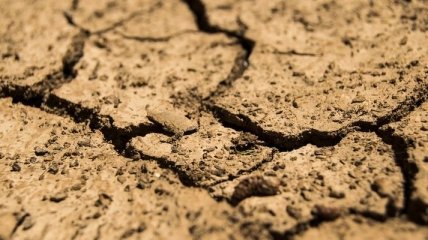 Климатические перемены: рекордная засуха угрожает урожаю во Франции 