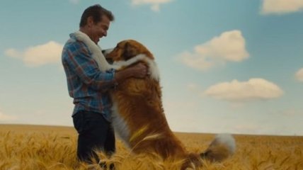 В сети появился первый трейлер к фильму "Путешествие хорошего пса" (Видео)