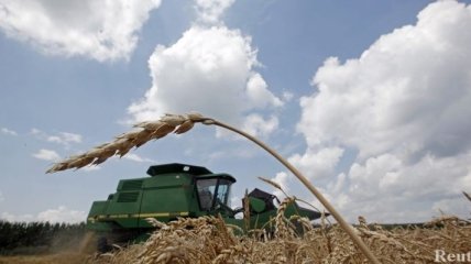 Европейская комиссия повысила прогноз урожая зерна в ЕС