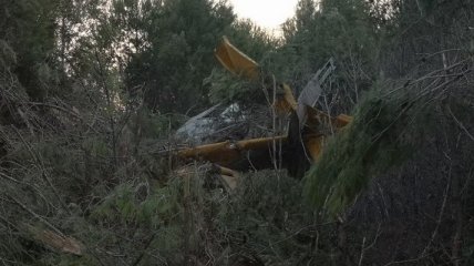 В Греции над пылающими лесами разбился пожарный самолет (фото)