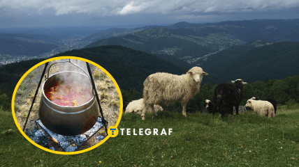 Карпати, казан над багаттям