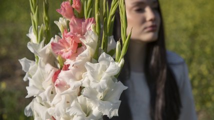 Посадка гладіолусів у ґрунт — відповідальна справа