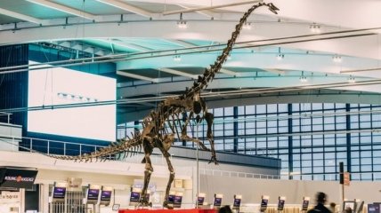 В аэропорту Хитроу "поселился" динозавр (Видео)