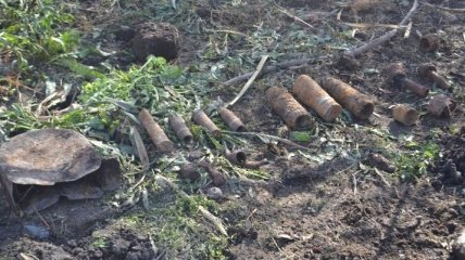 Во время тушения торфяников под Киевом взорвались боеприпасы