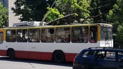 Меры предосторожности: Одесский городской электротранспорт ограничит количество пассажиров