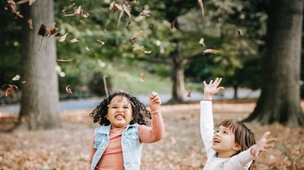 Гороскоп для Скорпионов, Раков и Тельцов