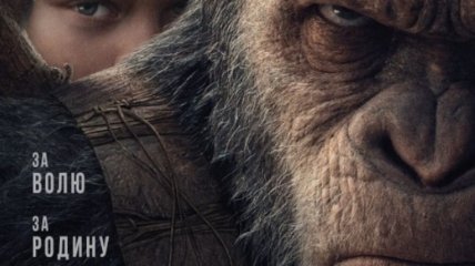 В украинский прокат выходит фильм "Война за планету обезьян" 