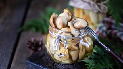 Маринованные опята (видео)