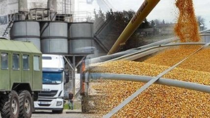 В Крыму хвастаются избытком дешевого зерна после того, как вывезли его из южных областей Украины