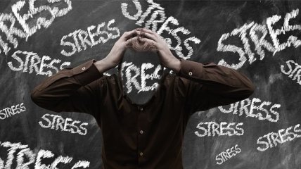 Спокойствие, только спокойствие: чем на самом деле можно заесть стресс