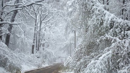 Снег и метель: В Украине предупредили об ухудшении погодных условий