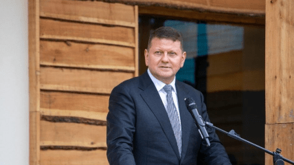 Валерий Залужный