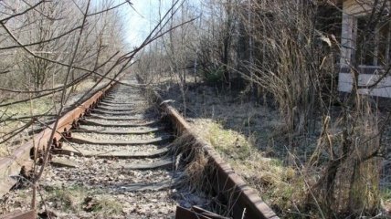В Чернобыльской зоне начали подготовку к строительству железной дороги