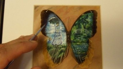 Удивительные картины на крыльях бабочек (Фото)