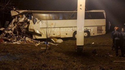 Россияне погибли в жутком ДТП: в Краснодарском крае рейсовому автобусу снесло кабину (видео)