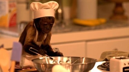 В яркой семейной комедии Гибби обезьяна избавляет от депрессии и учит обретать популярность