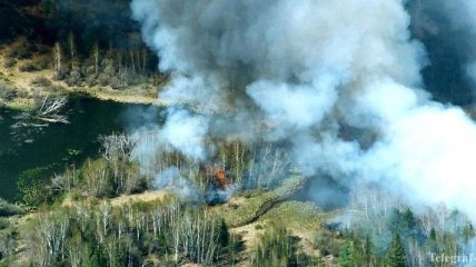 "Российский дым" от лесных пожаров достиг Аляски и Канады