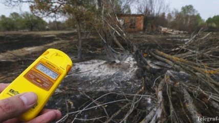 В Беларуси поднялся уровень радиации из-за пожаров возле ЧАЭС