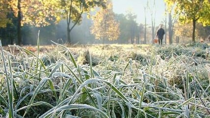 Украинцев предупреждают о заморозках в шести областях