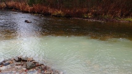 В реке Рось обнаружено превышение допустимого содержания гербицидов в 200 раз