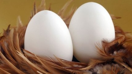 Яйца похудели