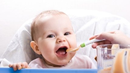 О чем говорят мамы: питание малышей