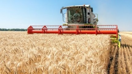 Украина увеличила экспорт сельхозпродукции в ЕС 