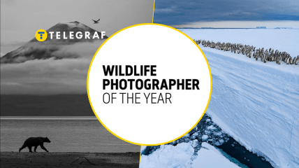 Иллюстративное фото