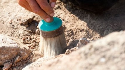 В Беларуси ученые раскопали редчайший артефакт