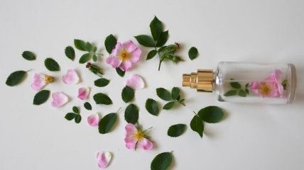 "Тропический" или "ванильный": ИИ учится определять запахи
