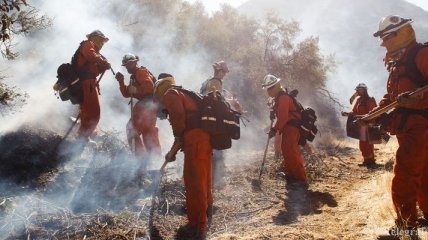 Увеличилось количество жертв пожаров в Калифорнии