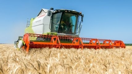 Украинские аграрии экспортировали почти 28 млн тонн зерновых