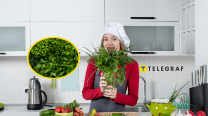 Лайфхак як довго зберігати зелень