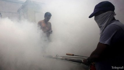 На Корсике истребляют комаров из-за риска лихорадки денге