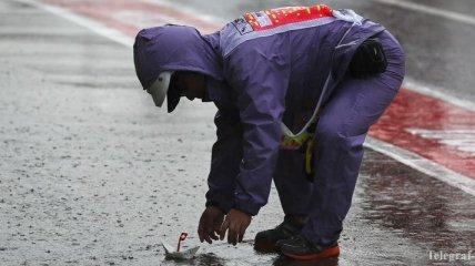 Пилоты Формулы-1 будут соревноваться в Японии под дождем