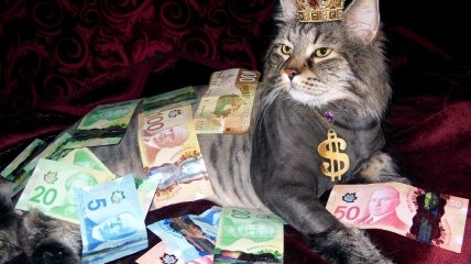 Львы и Водолеи могут разбогатеть уже на этой неделе