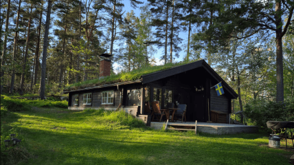 Отдых в лесу