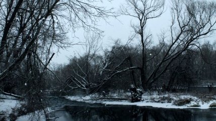 Прогноз погоды в Украине на 20 декабря: без существенных осадков