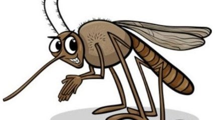 Смех до слез: шуточная классификация комаров от молодого художника 