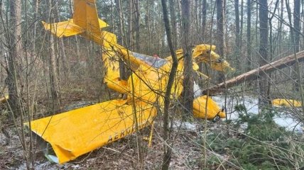 Літак, який впав у Польщі