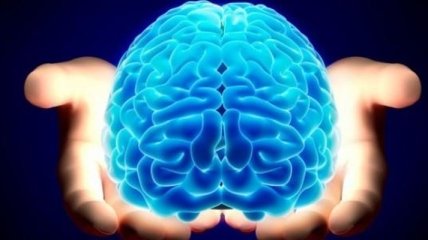 Ученые близки к разгадке человеческого мозга