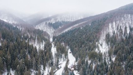 В Карпатах погиб турист