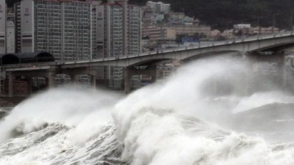 Десятки тысяч домов остались без электричества в Южной Корее