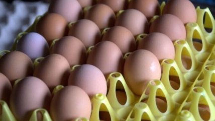 В Венгрии обнаружили партии куриных яиц пораженных фипронилом