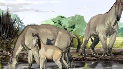 Вымирание млекопитающих в миллионы раз обгоняет их эволюцию