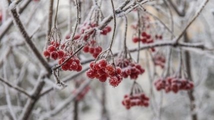 Погода на неделю: в Украину идет потепление с дождями мокрым снегом